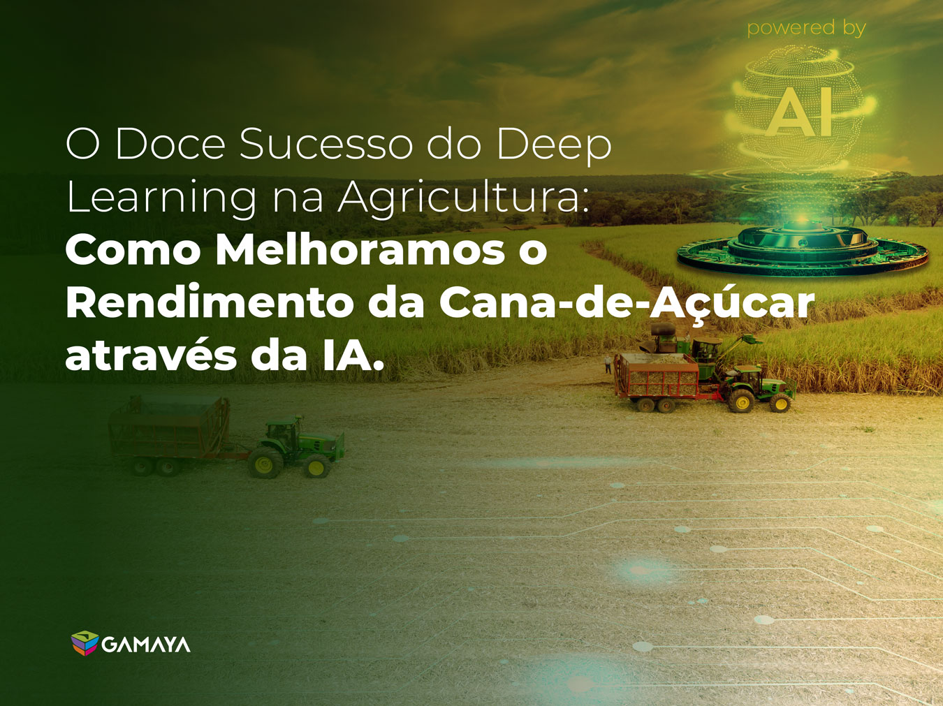 O-Doce-Sucesso-do-Deep-Learning-na-Agricultura