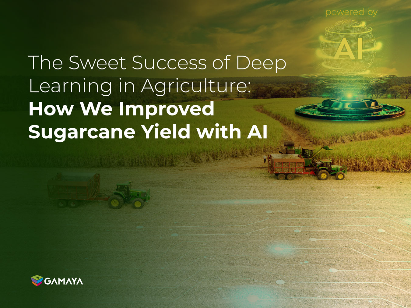 The Sweet Success of Deep Learning in Agriculture: How We Improved Sugarcane Yield with AI.