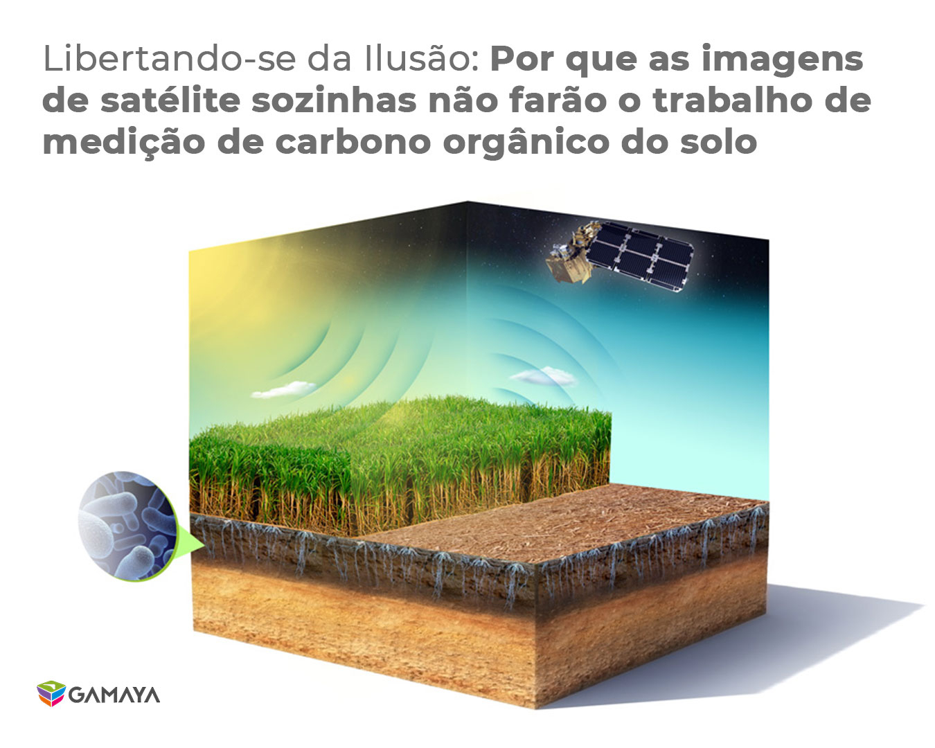 Libertando-se da Ilusão: Por que as imagens de satélite sozinhas não farão o trabalho de medição de carbono orgânico do solo