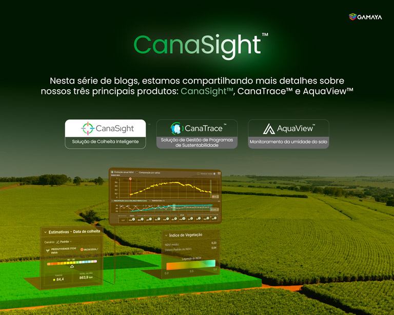 Cana Sight Eficiência para usinas de Cana-de-açúcar