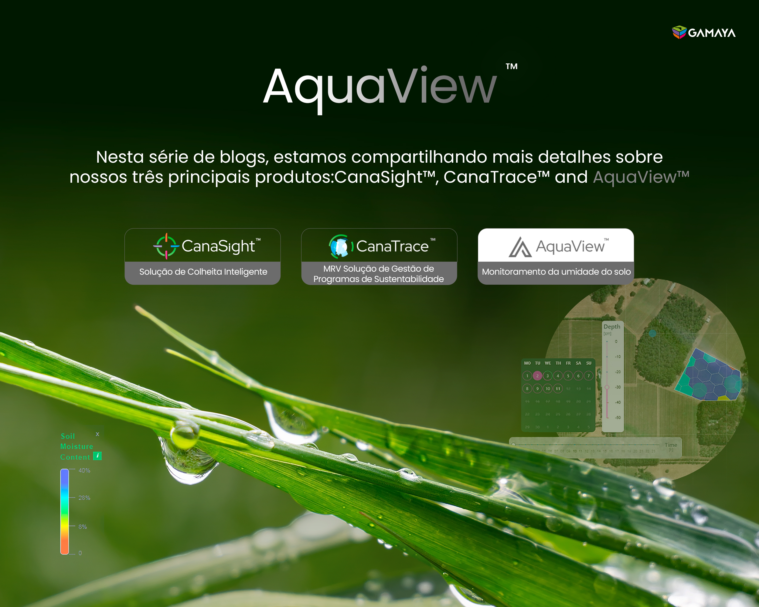 Aquaview