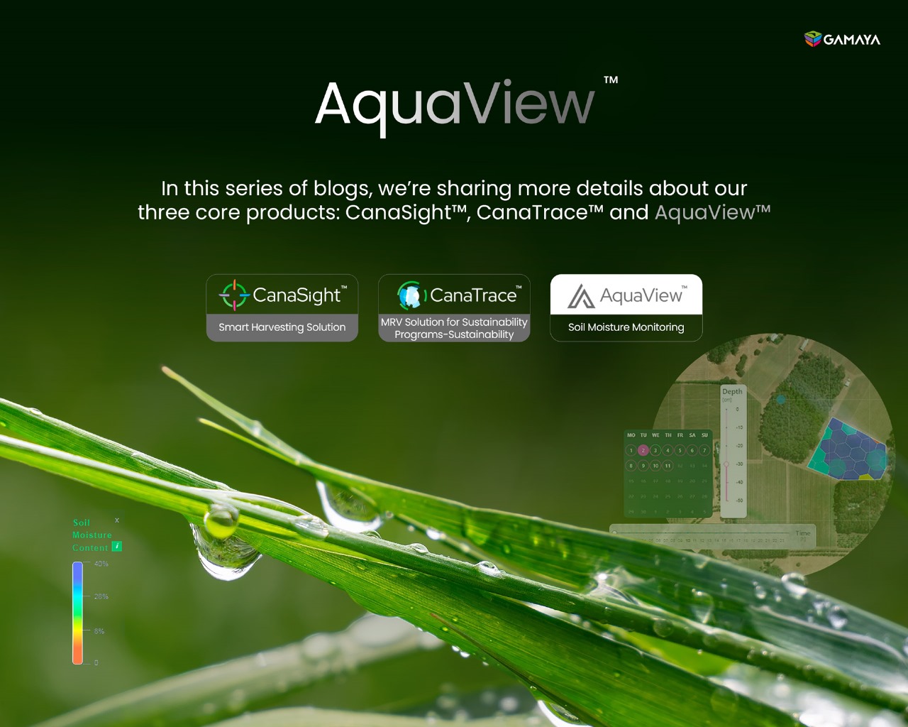 Aquaview™ - our water management platform that integrates AI, satellite imagery, and remote sensing to measure soil moisture and help to optimize crop water usage, without the need for in-field sensors.